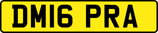DM16PRA