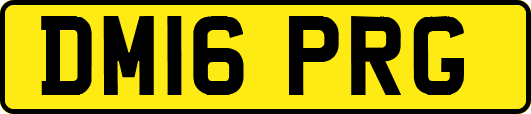 DM16PRG