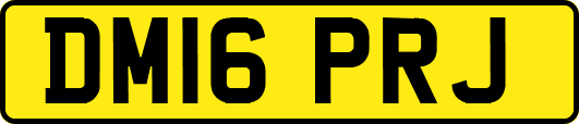 DM16PRJ