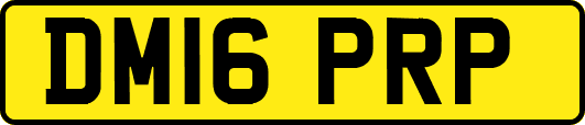 DM16PRP