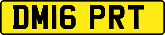 DM16PRT