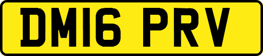 DM16PRV