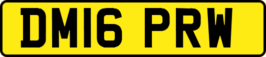 DM16PRW