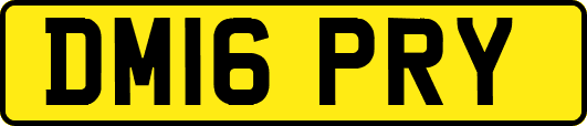 DM16PRY