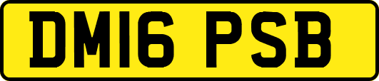 DM16PSB