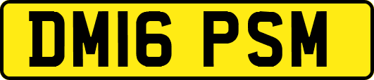 DM16PSM
