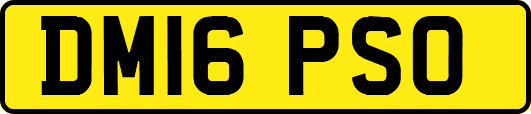 DM16PSO