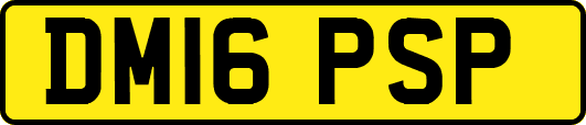 DM16PSP