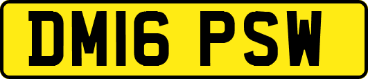 DM16PSW
