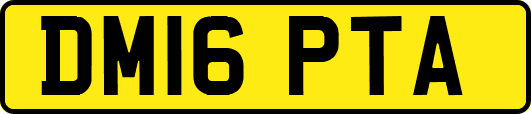 DM16PTA