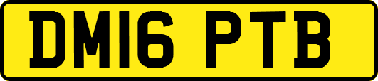 DM16PTB
