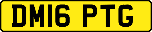DM16PTG