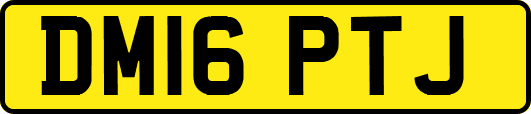 DM16PTJ
