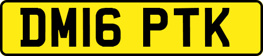 DM16PTK