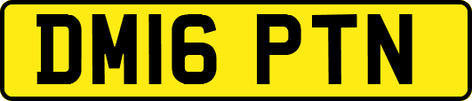 DM16PTN