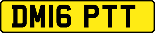 DM16PTT