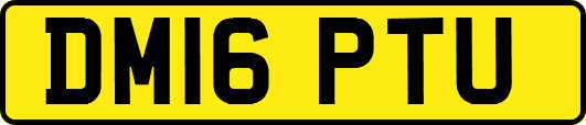 DM16PTU
