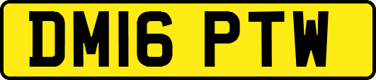 DM16PTW