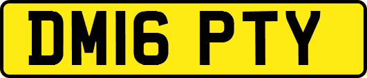 DM16PTY