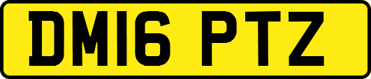 DM16PTZ