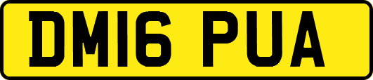 DM16PUA