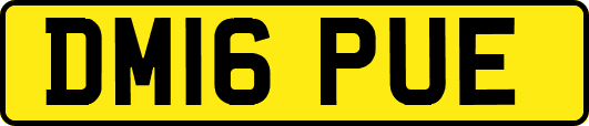 DM16PUE