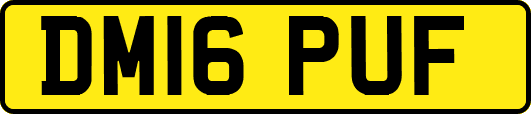 DM16PUF