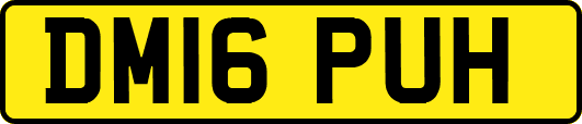 DM16PUH