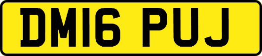 DM16PUJ