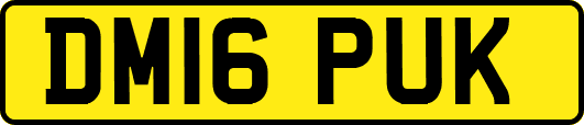 DM16PUK