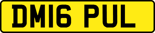 DM16PUL