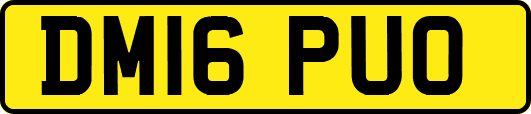 DM16PUO