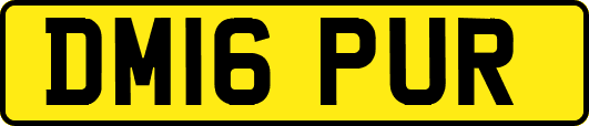 DM16PUR