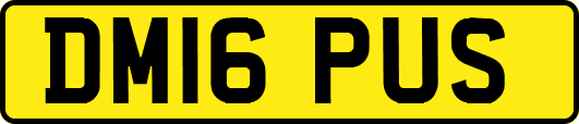 DM16PUS