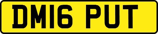DM16PUT