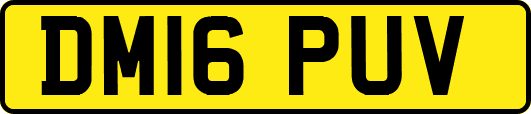 DM16PUV