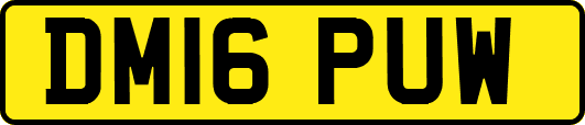 DM16PUW