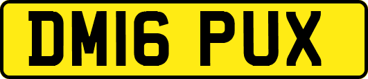 DM16PUX