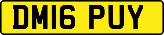 DM16PUY