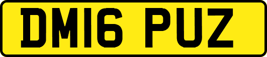 DM16PUZ