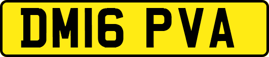 DM16PVA
