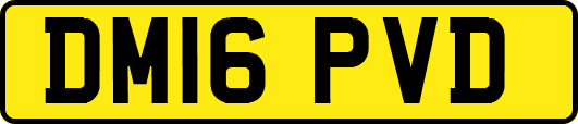 DM16PVD