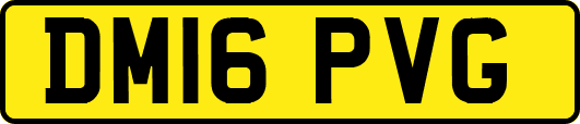 DM16PVG