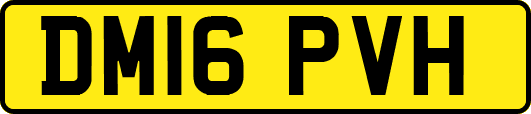 DM16PVH