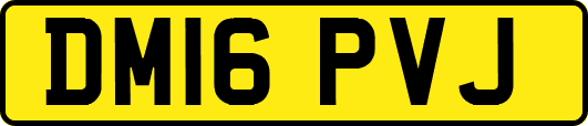 DM16PVJ