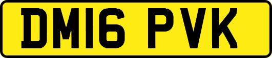 DM16PVK