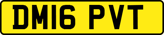 DM16PVT