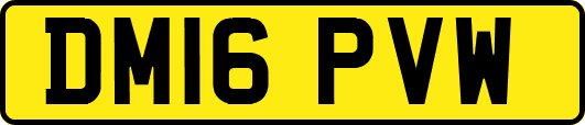 DM16PVW