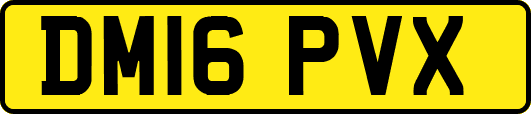 DM16PVX