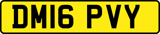 DM16PVY